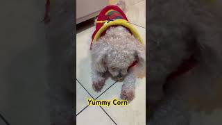 Yummy Corn