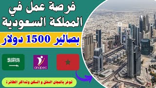 فرصة عمل في المملكة العربية السعودية 💲براتب 1500 دولار شهريا 👍تكاليف السفر بالمجان