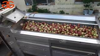 Fruit and Vegetable  Washing and Cleaning Machine|Fruit Washer Machine Price