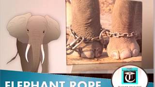 MOTIVATIONAL STORY-ELEPHANT ROPE-Shafi's Teacher Educator