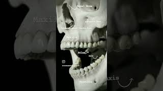 Face bones anatomical name #viralreels #anatomy #physiotharapist #doctor#viralreels #best#motivation