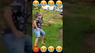 Wee Meme TikTok Compilation  The End😂😂😂😂 #shorts