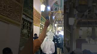 Ziarah Ke Makam Paduka Alam Nabi Muhammad SAW #medina #raudhah #saudiarabia #hajj #umrah