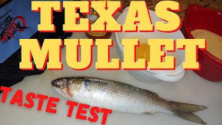 Can you eat TEXAS MULLET? | Catch, Clean and Cook