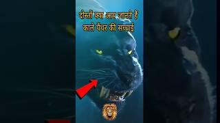 Sweeet Black Panther ताकतवर क्यों होते है #animals Black Panther WhatsApp status 💯💯 #shorts