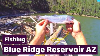 Fishing Blue Ridge Reservoir AZ