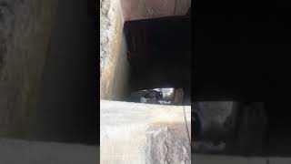 Elephanta Caves: Video 5