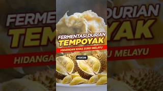 Tempoyak - Fermentasi durian yg diolah jadi bermacam hidangan #rifkywijayanto #sksm #tempoyak