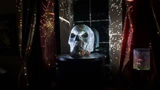 My Disco Ball Skull