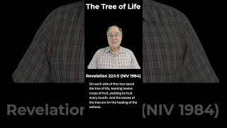 Bible Reading: The Tree of Life  #bible #biblestudy #bibleverses #biblereading