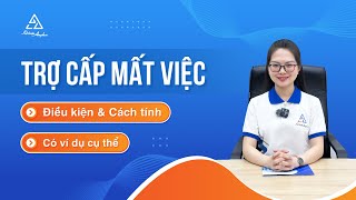 Trợ cấp mất việc là gì? Quy định về điều kiện và cách tính trợ cấp mất việc làm | Kế toán Anpha