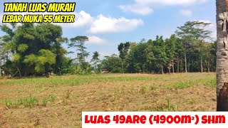 Tanah murah luas muka lebar 55 meter cocok untuk kebun