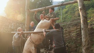 Butcher 150-Kilo Pig for the Lunar New Year! Self-Farmed, Organic!｜Couple's Pastoral Life in Sichuan