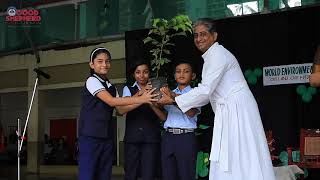 Observing World Environment Day 2024