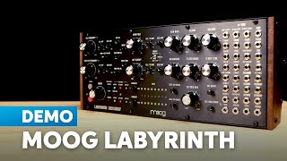 Moog Labyrinth Demo: Designed to Inspire, Built for Exploration