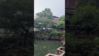 Yuyuan Garden #shanghai #china #travel #garden #traditional 20.09 #shorts #cat