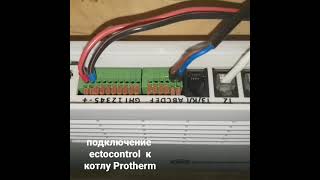 Подключение GSM модуля EctoControl к котлу Protherm