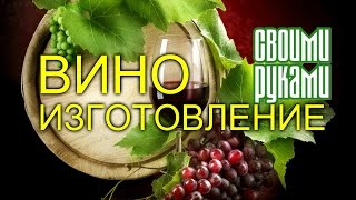 Виноградное вино из изабеллы.