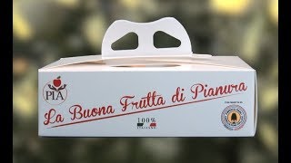 PROGETTO FdAI COLDIRETTI la buona frutta di pianura - speaking label