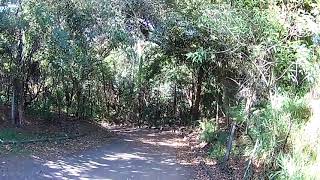 PARQUE CHICO MENDES EM OSASCO.