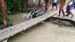 Bike washed away in the Assam Flood