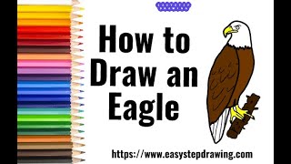 How to draw Eagle in easy steps #eagle #easystepdrawing