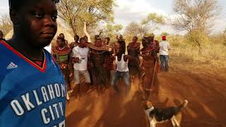 Bogoria