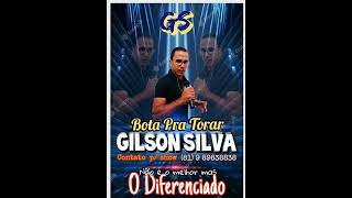 Bota Pra Torar (cover Gilson Silva)