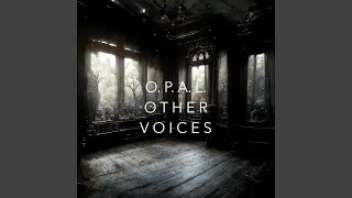 Other Voices