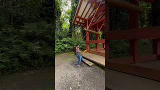 Bon Sho (Sacred Bell) at Byodo-In Temple in Oahu  #travel #hawaian #ytshorts