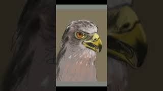 [Short] Painting a Falcon in Sketchbook Mobile #painting #drawing #art #timelapse