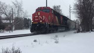 Snowy day at West Chicago