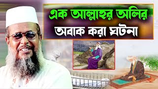 এক আল্লাহর আলি অবাক করা ঘটনা । তোফাজ্জল হোসেন ভৈরবী । tofazzal hossain bhairovi  | Bangla Waz |