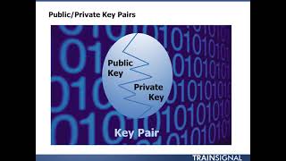 Lesson 27 - Deploying a Certificate Authority