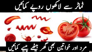 high profitable Easy Small Business Idea tomato sauce making business in pakistan