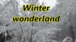 Winter wonderland 15 15 2021