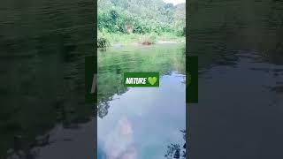 Refreshing Nature|| Picnic #nature #naturelovers #green #shortvideo