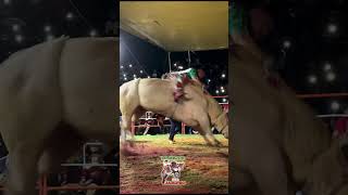 Pequeño Gran Guerrero vs La Aspiradora de Rancho El Cementerio #jaripeo