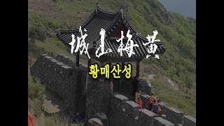 황매산성의  철쭉꽃 #52