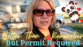 Fried Chicken, Seagulls & Good Friends! Free Permitted Camping - Corpus Christy, Texas