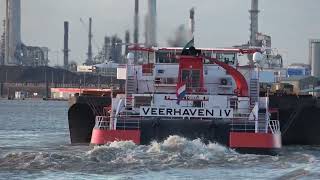 VEERHAVEN IV - NEUSHOORN