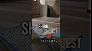 Shirk Is Biggest Sin | Engineer Muhammad Ali Mirza | True Islam Status #shirk #islamicstatus #shorts