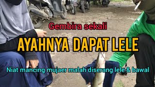 Niat mancing mujaer malah diserbu bawal dan lele