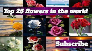 Beautiful flowers|Top 25 flowers in the world#beautifulflowers #youtube #dubaivlog #youtubevideos