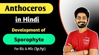 Anthoceros in Hindi - Development of Sporophyte in Anthoceros | Life Cycle of Anthoceros | 05