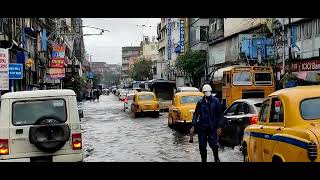 Kolkata - central avenue (4)