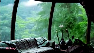 Rain on Window | Rain Sounds for Sleep | Window Rain | Relax, Study, Focus