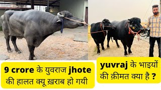 9 crore के yuvraj jhote की family से मिलिए  ॥ और उसके भाइयों की क्या क़ीमत है जानिए