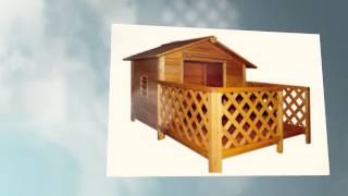 Best Dog House For The Money