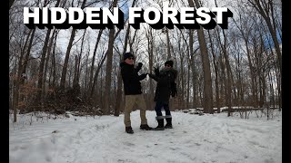 Red Oaks Nature Center - A Hidden Walk Trail in the City of Madison Heights, Michigan